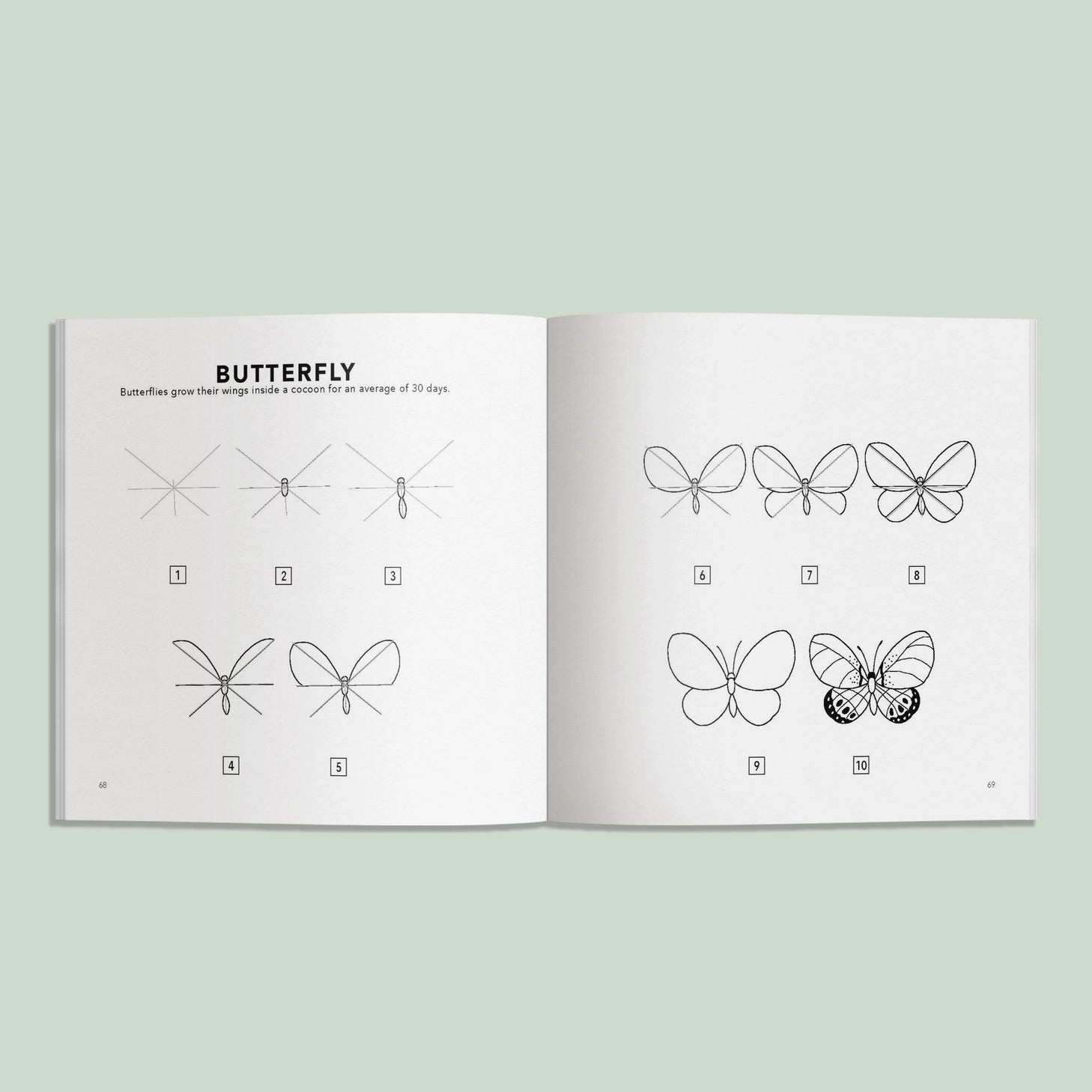 Paige Tate & Co How to Draw All Spring Things Art Book for Kids