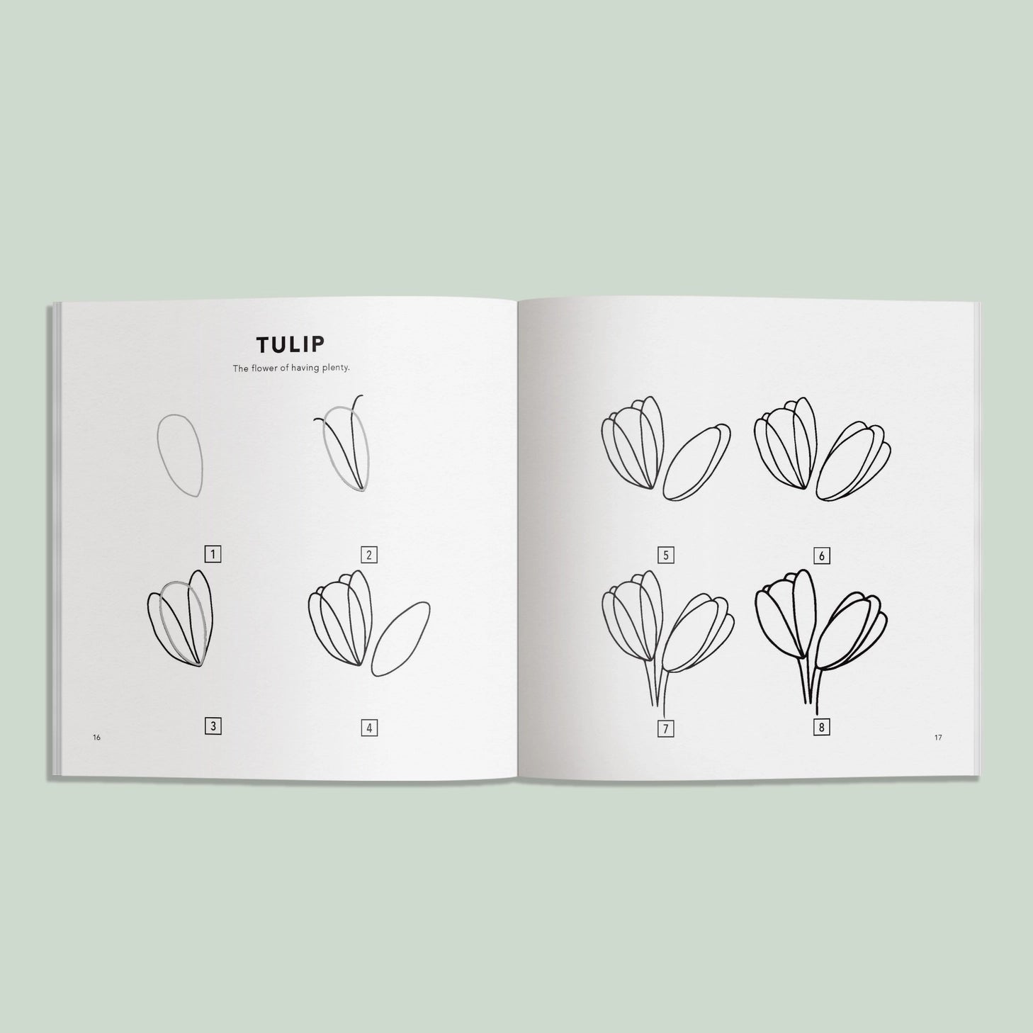 Paige Tate & Co How to Draw All Spring Things Art Book for Kids