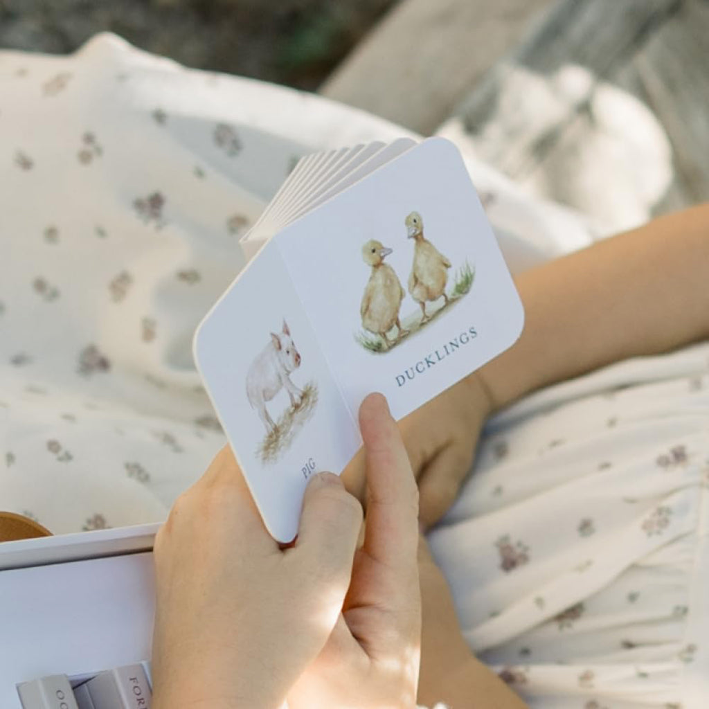 Paige Tate & Co Our Very Little Library Board Book Set