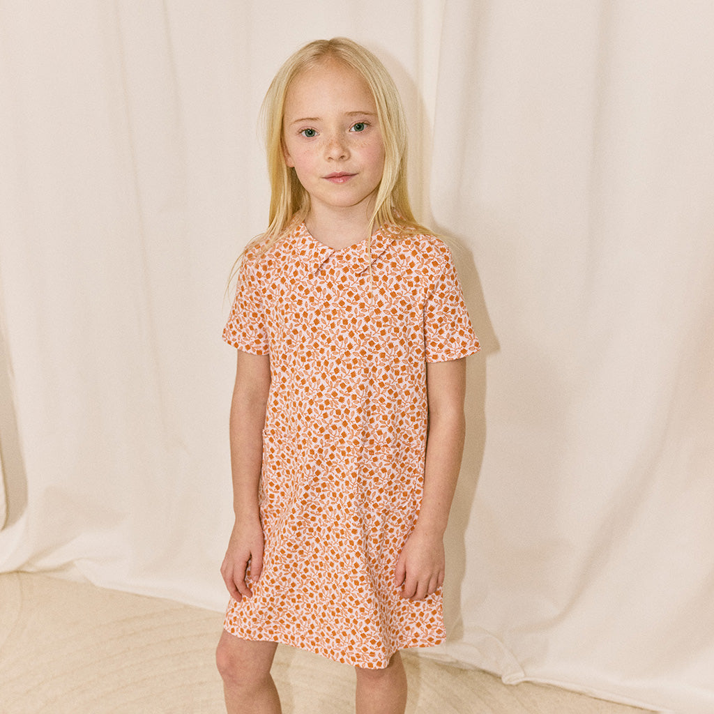 Misha & Puff Child Twiggy Dress Aura Pink Lisse Fields Print