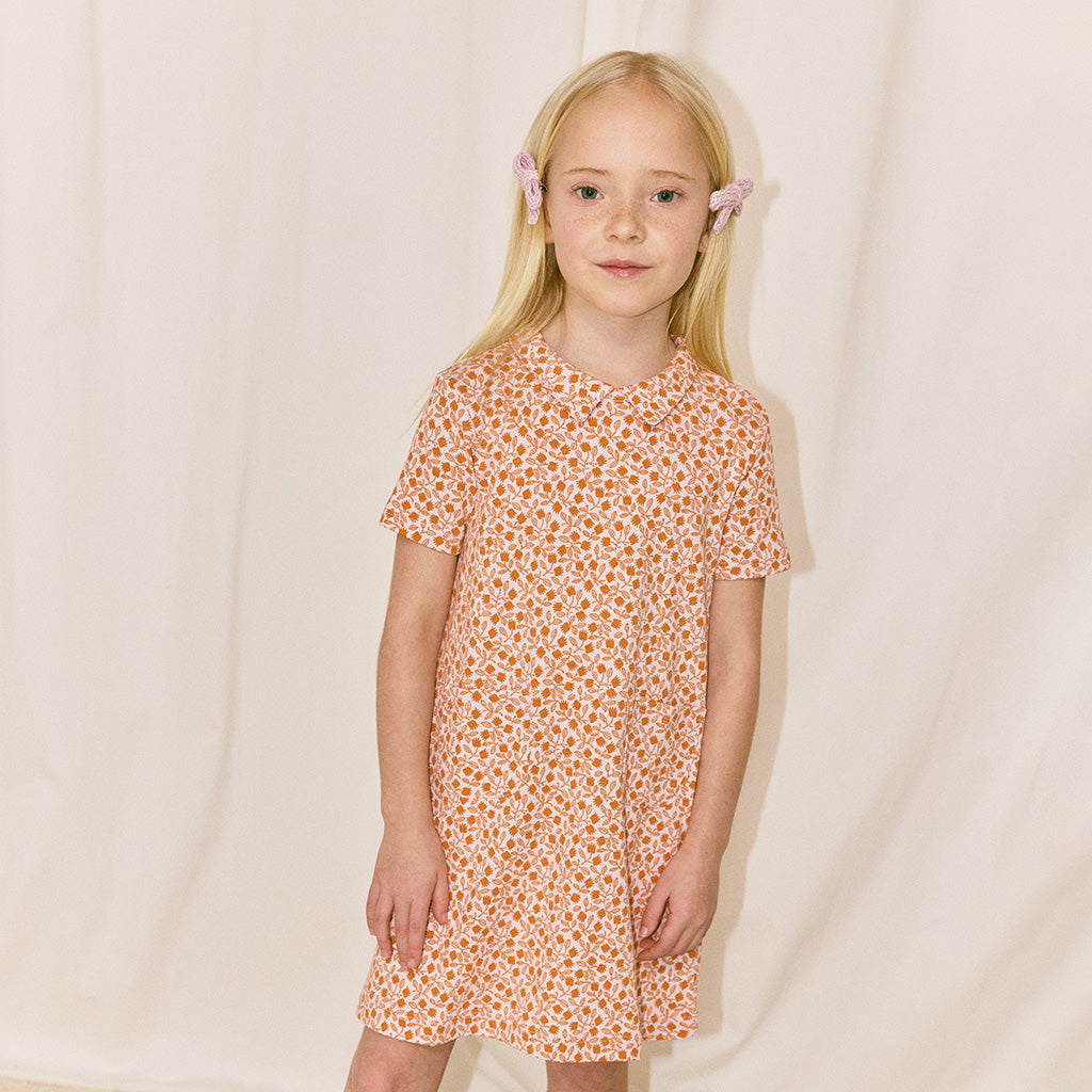 Misha & Puff Child Twiggy Dress Aura Pink Lisse Fields Print
