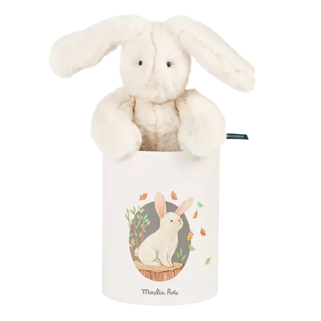 Moulin Roty Arthur et Louison Rabbit Soft Toy In Box