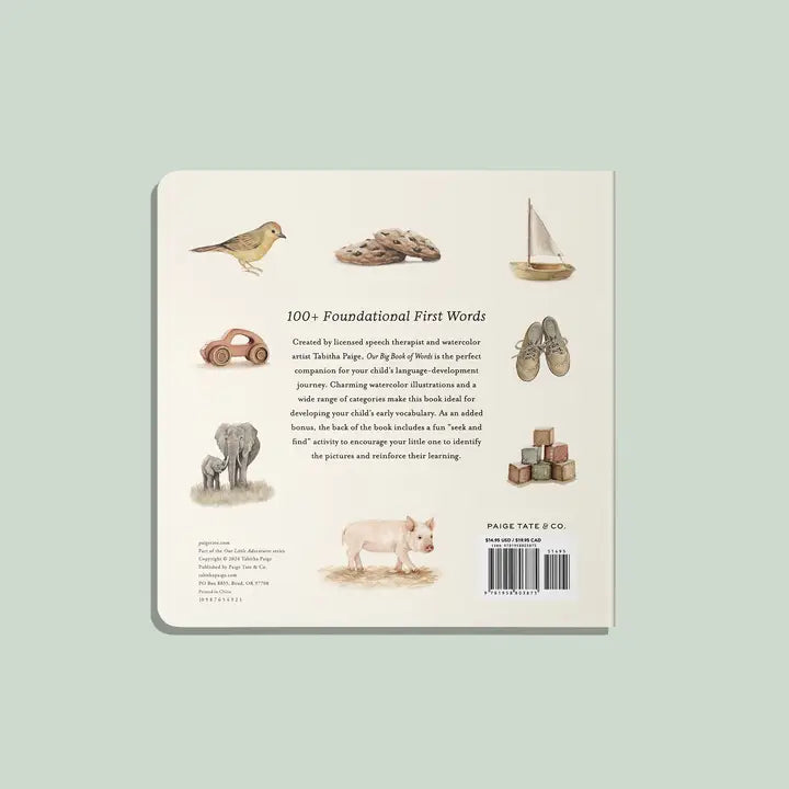 Paige Tate & Co Our Big Book of Words