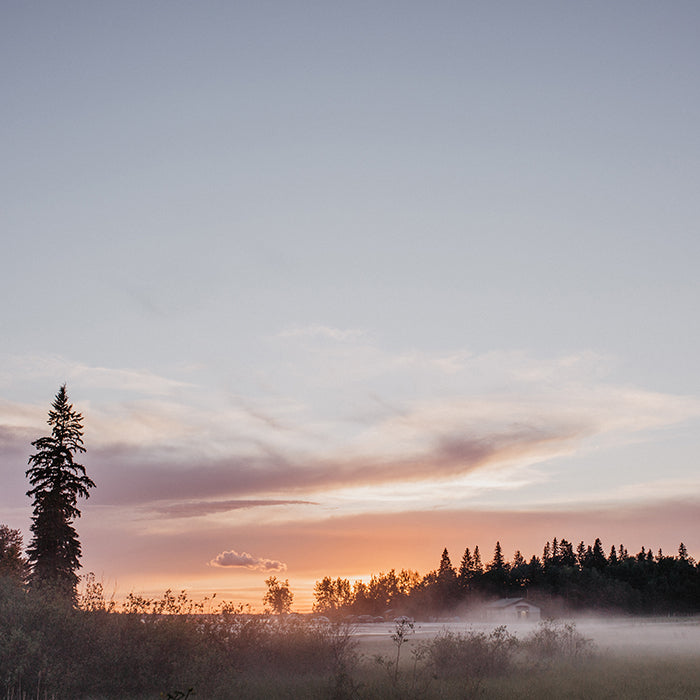 Dusk Pink sunset colour inspiration.