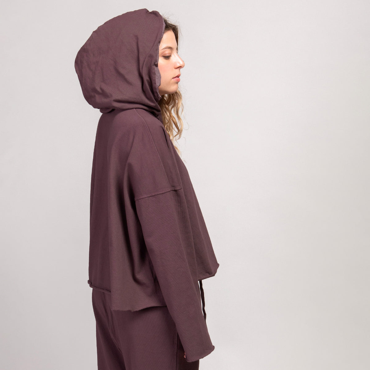 Album Di Famiglia Unisex Hoodie HC Grape Purple