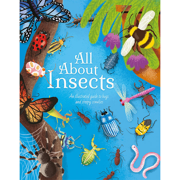 All About Insects: An Illustrated Guide to Bugs and Creepy Crawlies