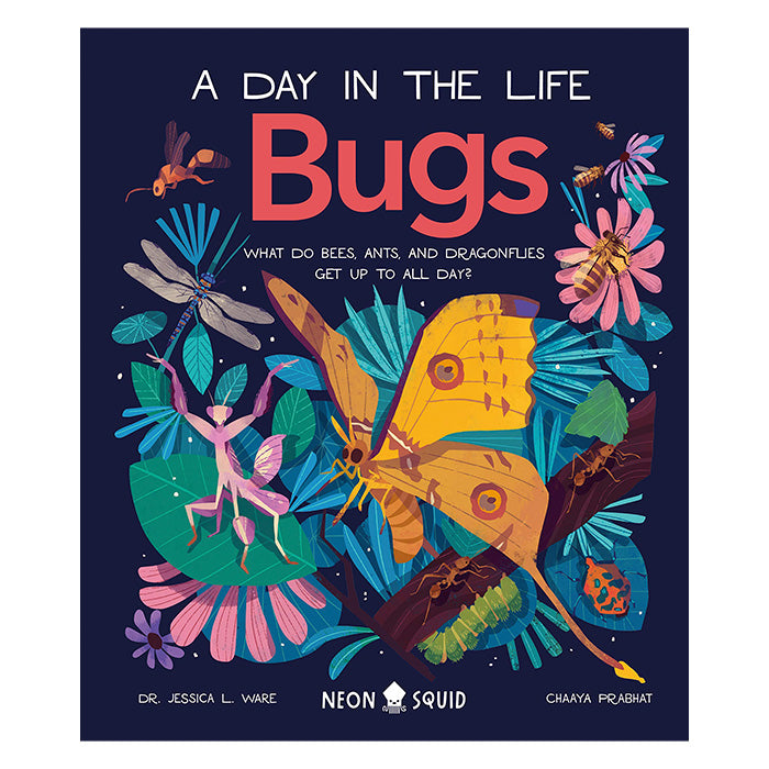 Bugs (A Day In The Life)