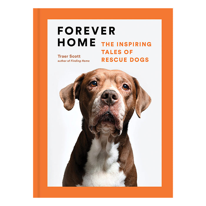 Forever Home: The Inspiring Tales of Rescue Dogs