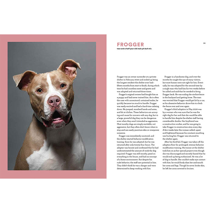 Dog rescue store clearance