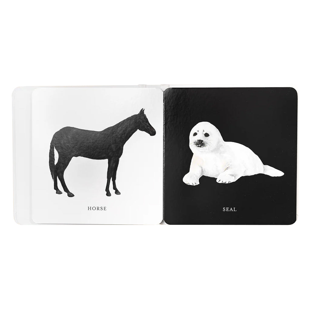 Paige Tate & Co. Baby's Black and White Contrast Book