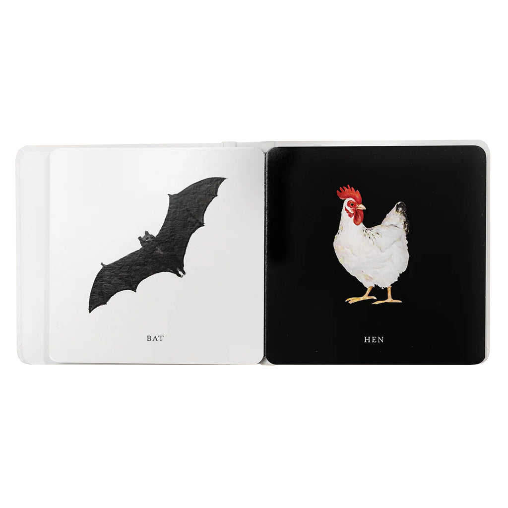 Paige Tate & Co. Baby's Black and White Contrast Book