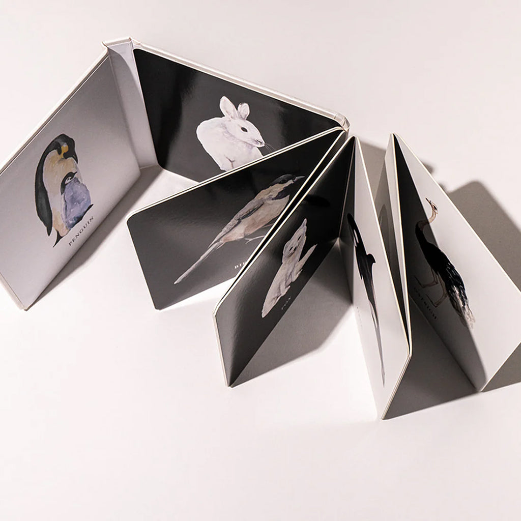 Paige Tate & Co. Baby's Black and White Contrast Book