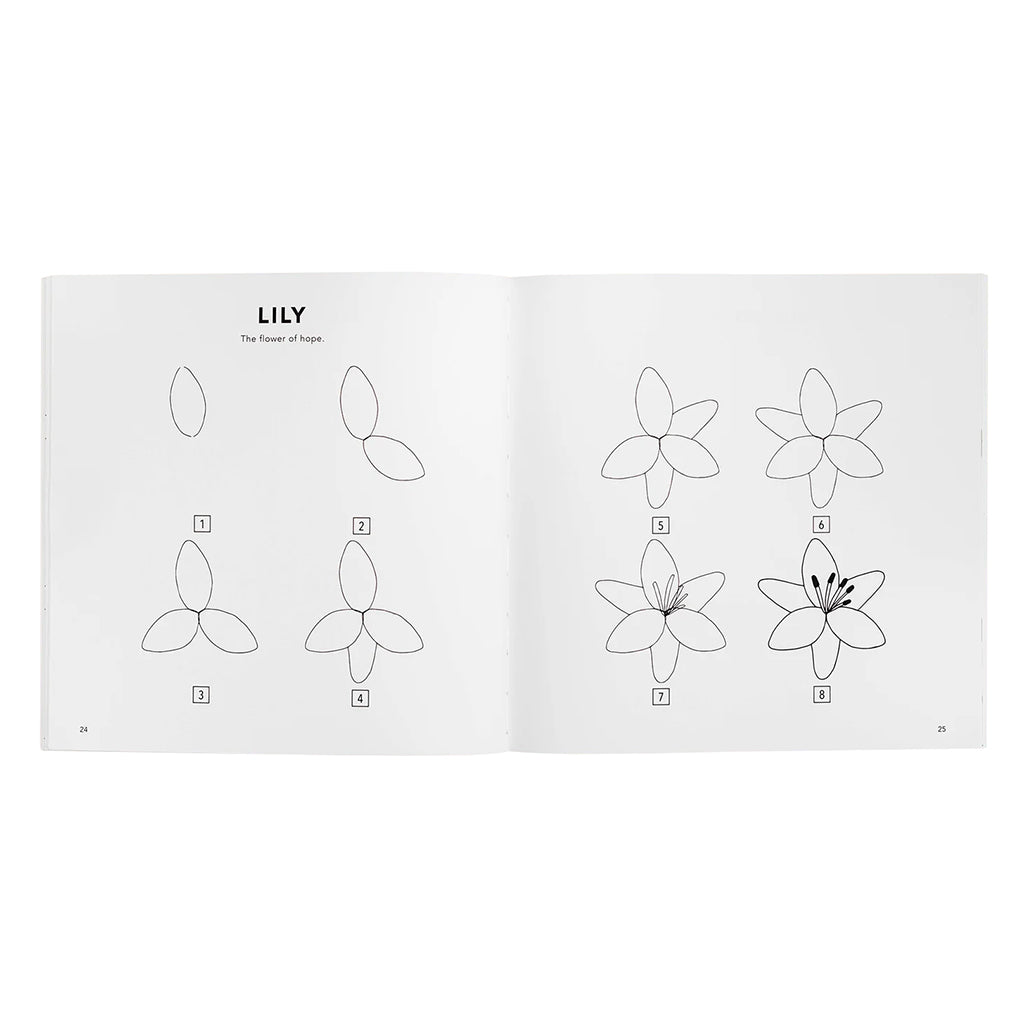 Paige Tate & Co How to Draw Modern Flowers Books for Kids