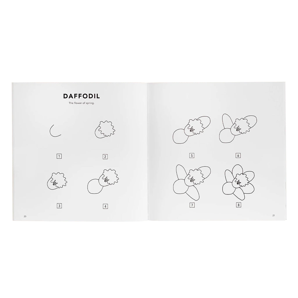 Paige Tate & Co How to Draw Modern Flowers Books for Kids