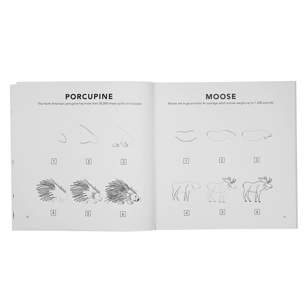 Paige Tate & Co How to Draw Woodland Creatures Art Book for Kids