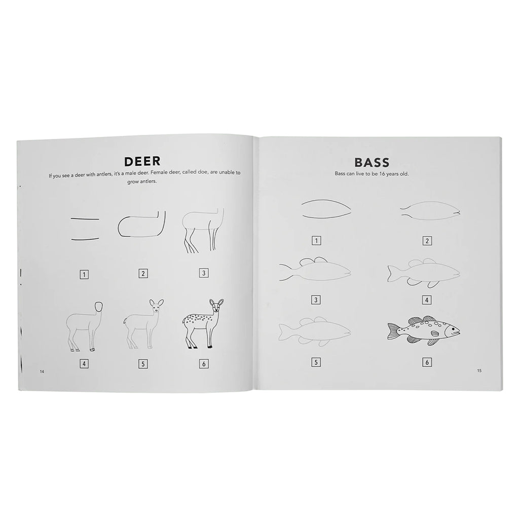 Paige Tate & Co How to Draw Woodland Creatures Art Book for Kids