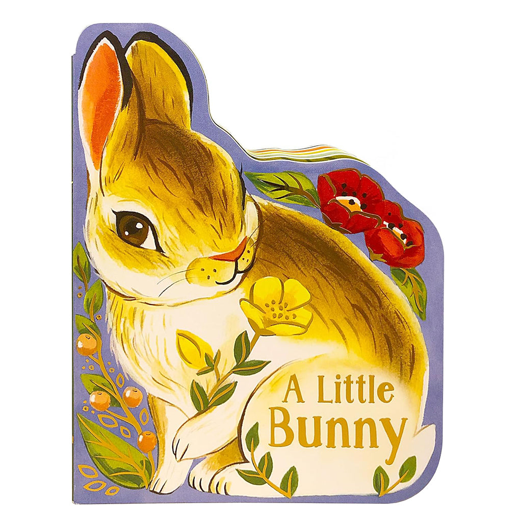 A Little Bunny