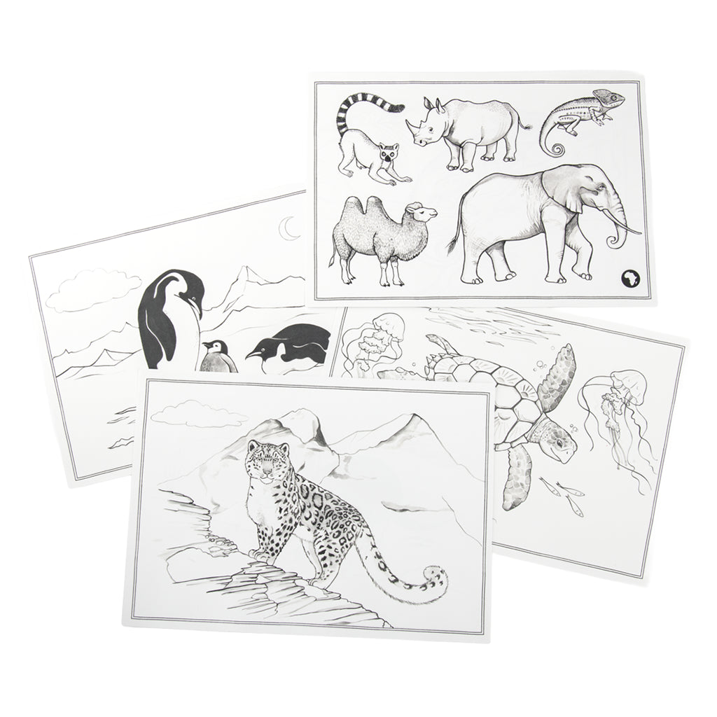 Moulin Roty Tout Autour Du Monde 24 Kidywolf Drawing Templates