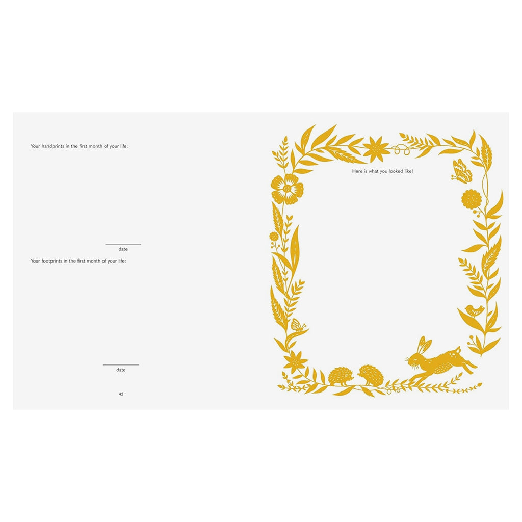 Paige Tate & Co My Baby's Book