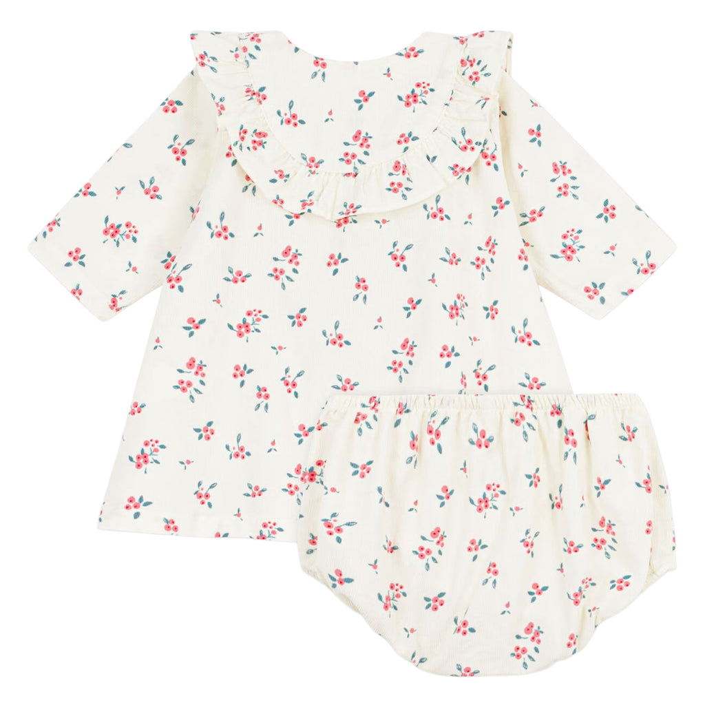 Petit Bateau Baby Dress With Bloomers Milk Cream Floral Print