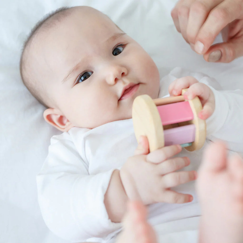 Plan Toys Roller Pastel