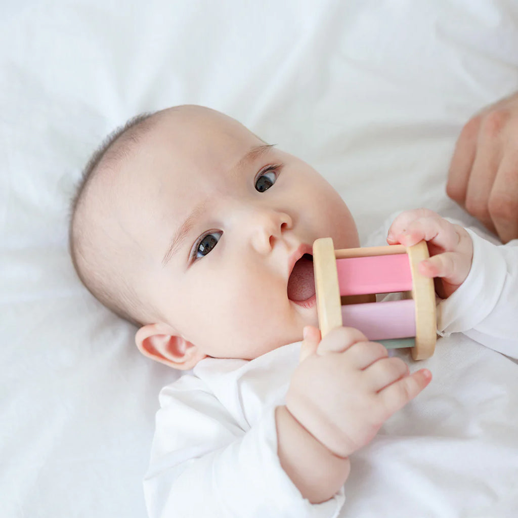 Plan Toys Roller Pastel