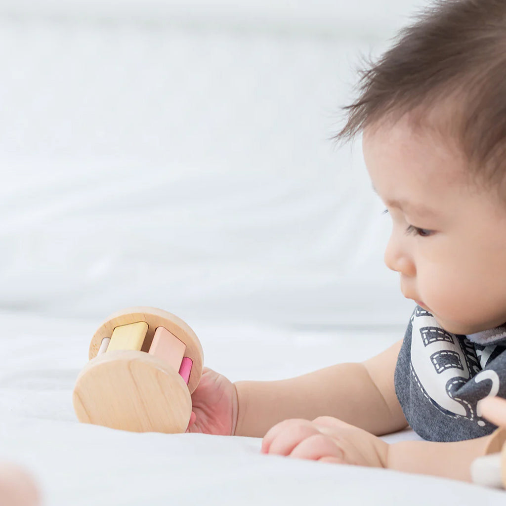 Plan Toys Roller Pastel