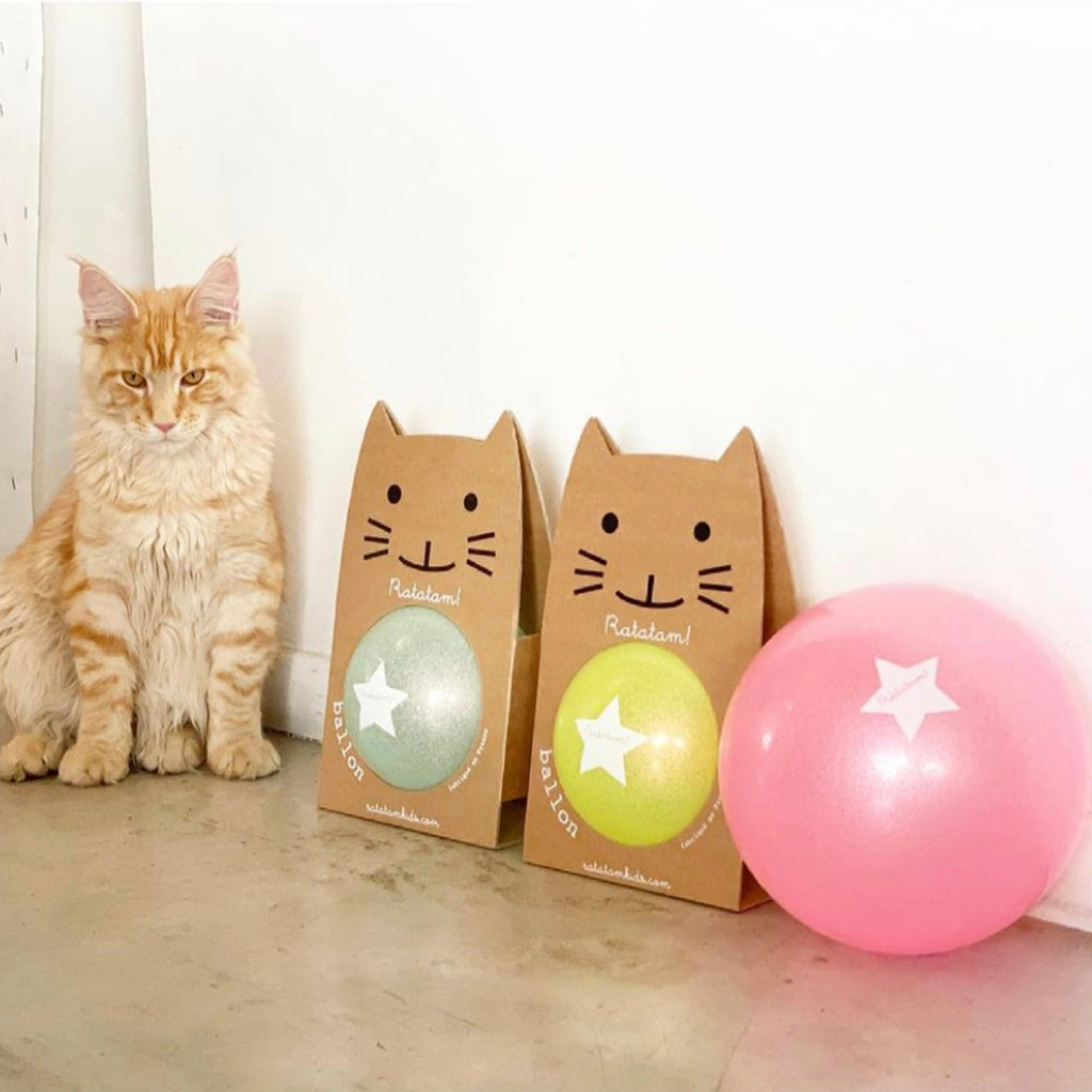 Ratatam Large Silver Balloon Summer Range 22 cm