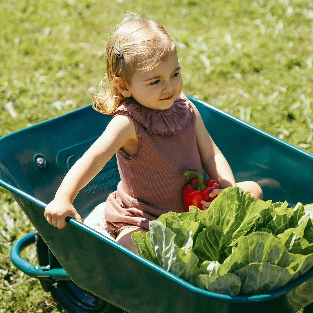 Snug Baby Collared Top Terracotta Red