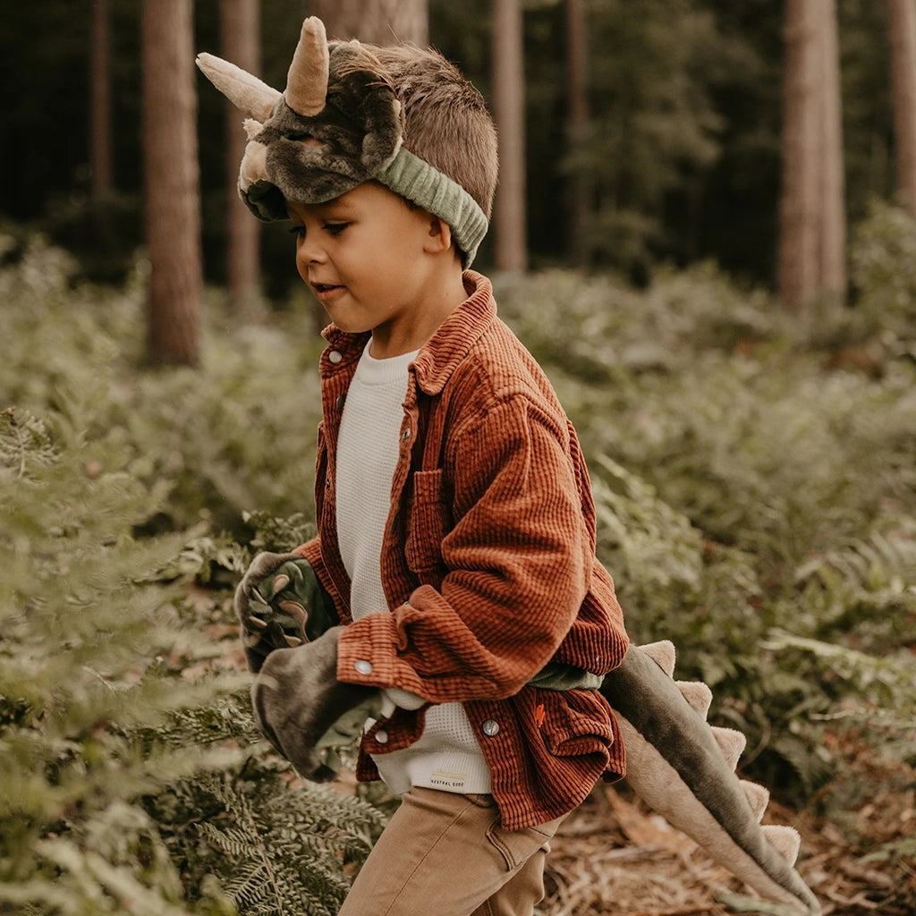 Wild & Soft Dino Dress-Up Set