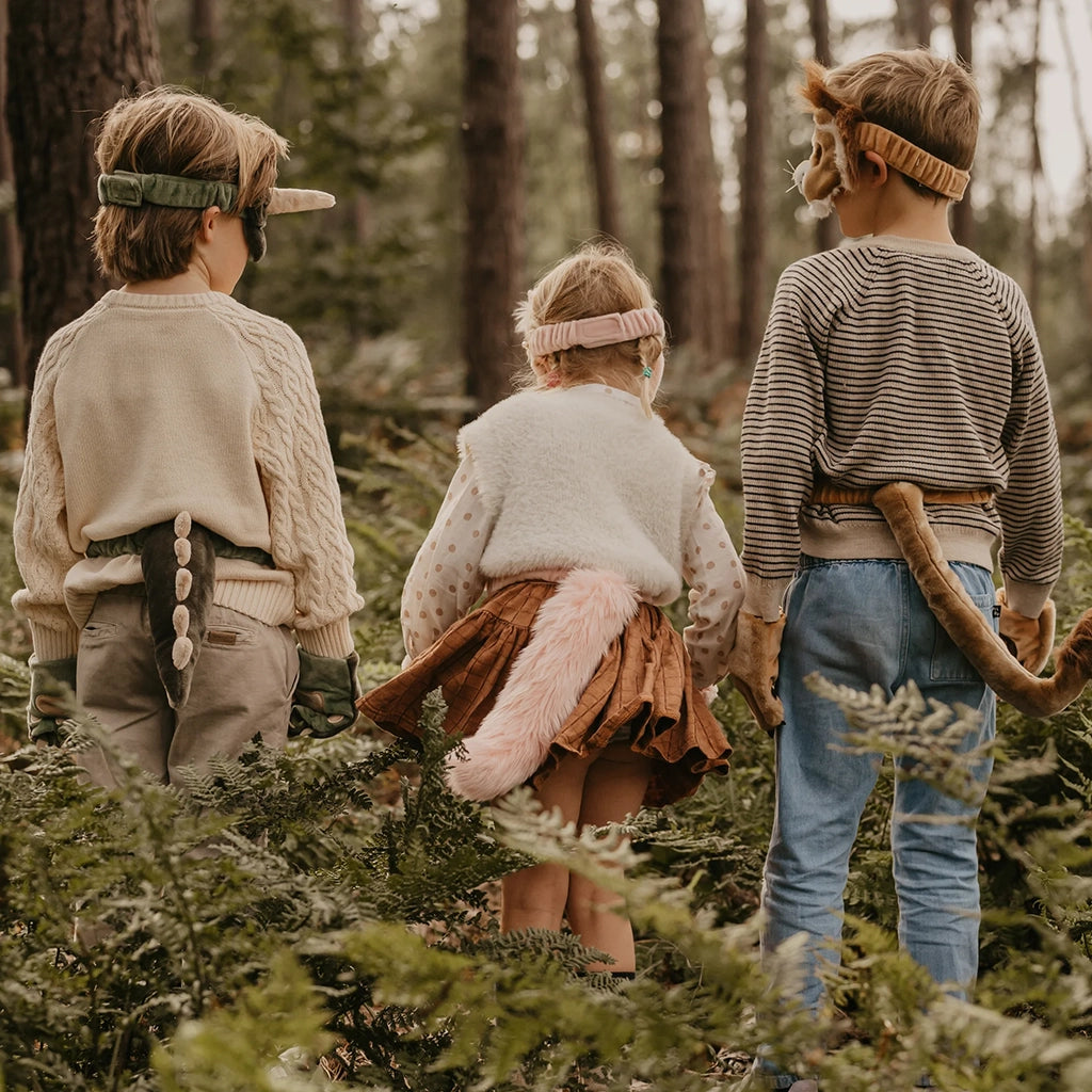 Wild & Soft Dino Dress-Up Set