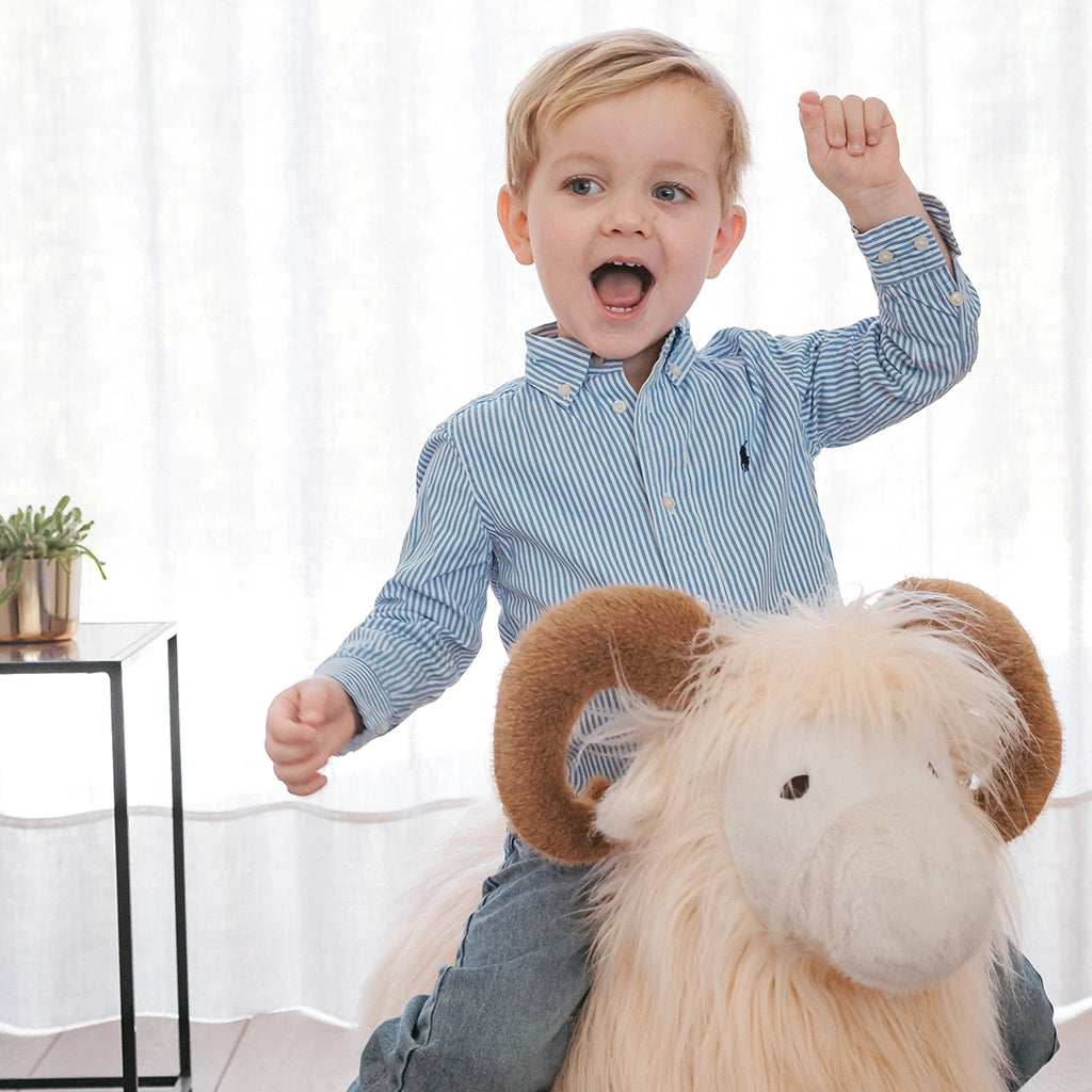 Wild & Soft Soft Bouncy Ram