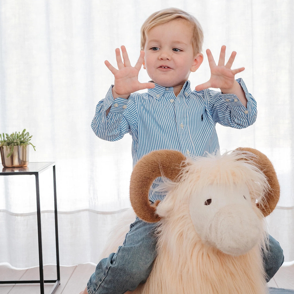 Wild & Soft Soft Bouncy Ram