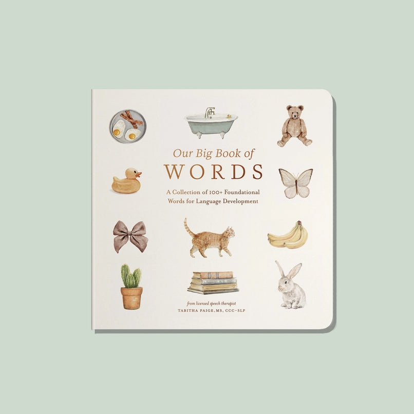 Paige Tate &amp; Co Our Big Book of Words