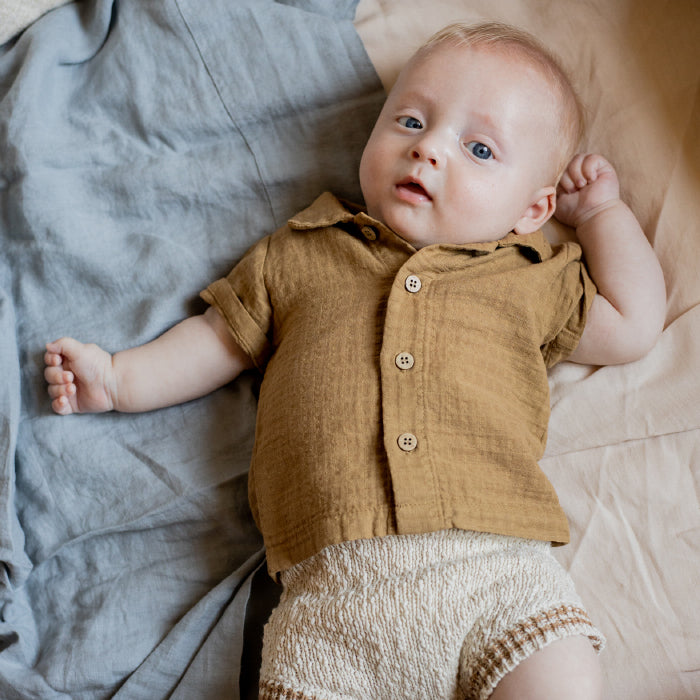 1 In The Family Baby And Child David Shirt Biscotto Brown