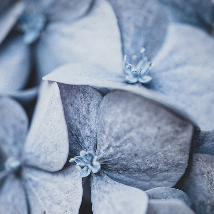 Periwinkle Blue colour inspiration.