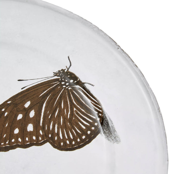 Astier De Villatte John Derian Flying-Landed Butterfly Medium Plate