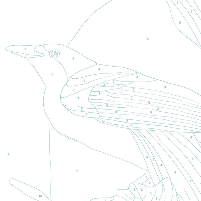 Baltic Club Paint By Numbers Kit Bird of Paradise