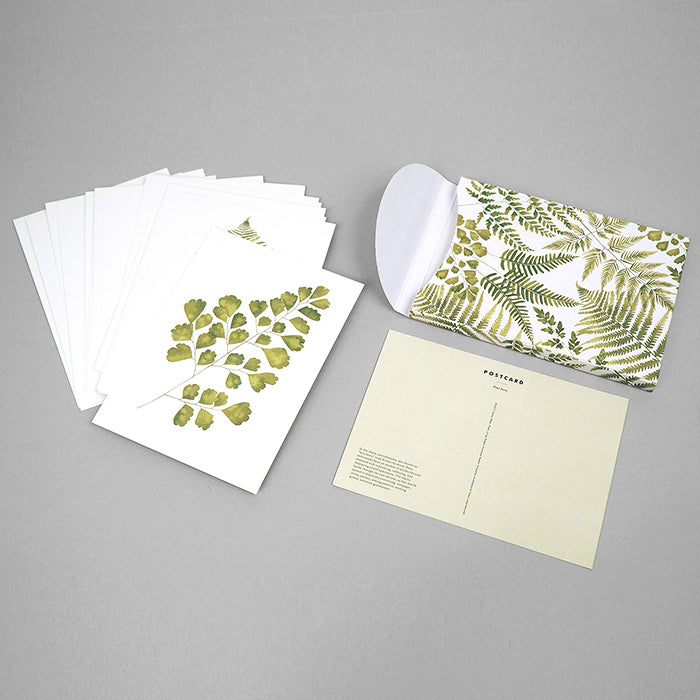 A set of postcards with green ferns illustrated on them.