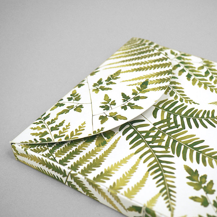 Close up of a box illustrated with green fern illustrations.