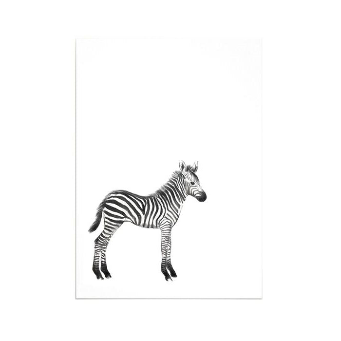 White card with a black and white illustration of a baby zebra on the front.