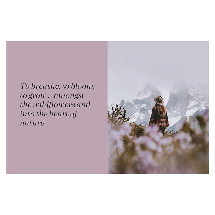 Purple imagery and photograph from the book "Forever Wandering"