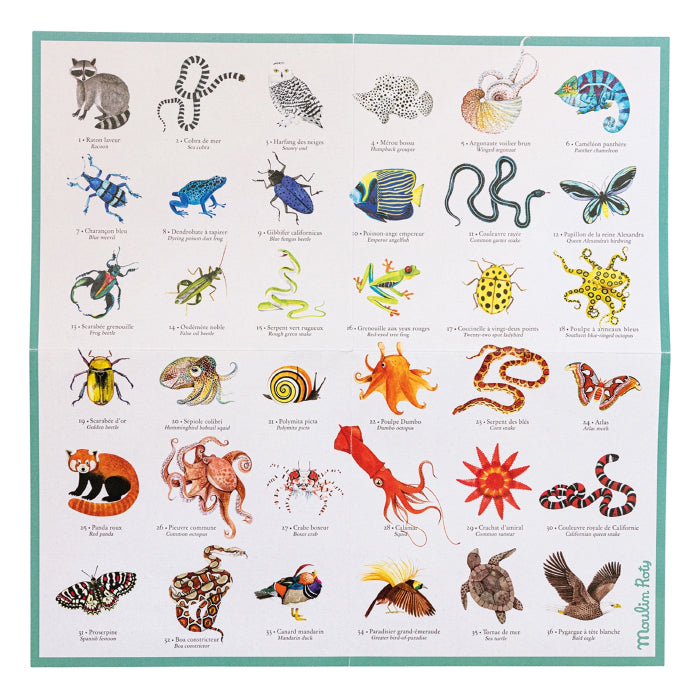 Moulin Roty Tout Autour Du Monde Animal Memory Game