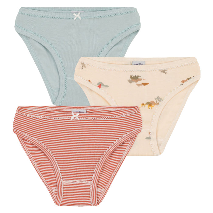 Petit Bateau Child Set Of Three Underwear Desert Print
